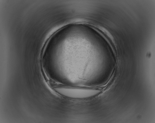 X0000090971429200708241305