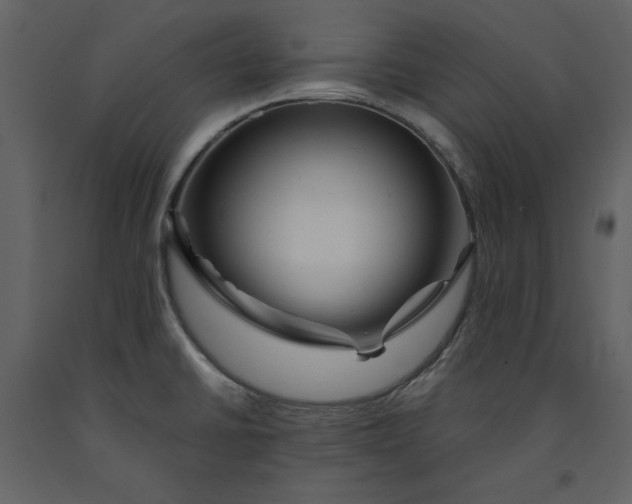 X0000090971430200708241305