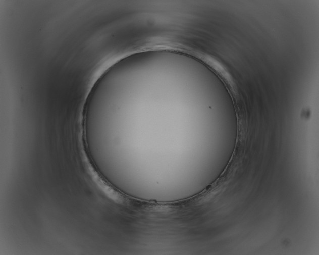 X0000090971431200708241305