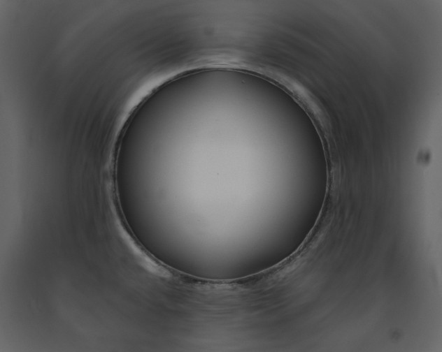 X0000090971432200708241305