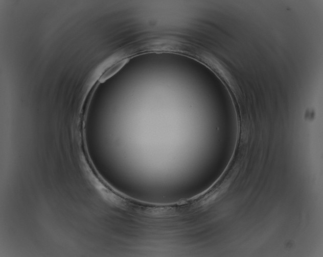 X0000090971434200708241305