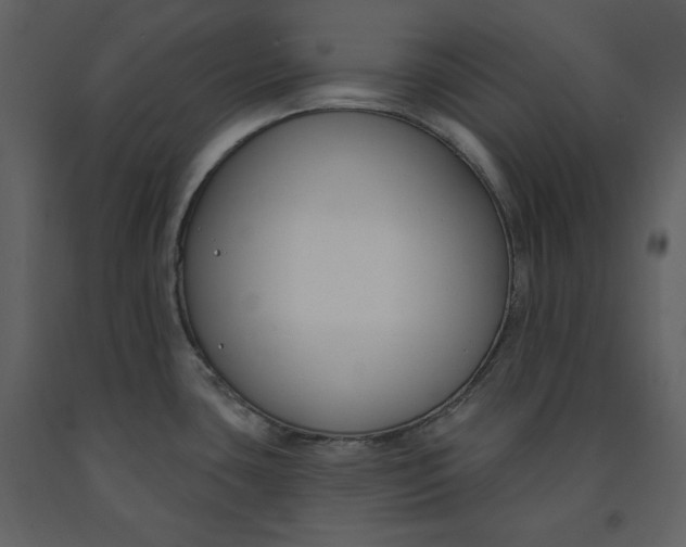 X0000090971435200708241305