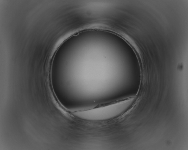 X0000090971437200708241305