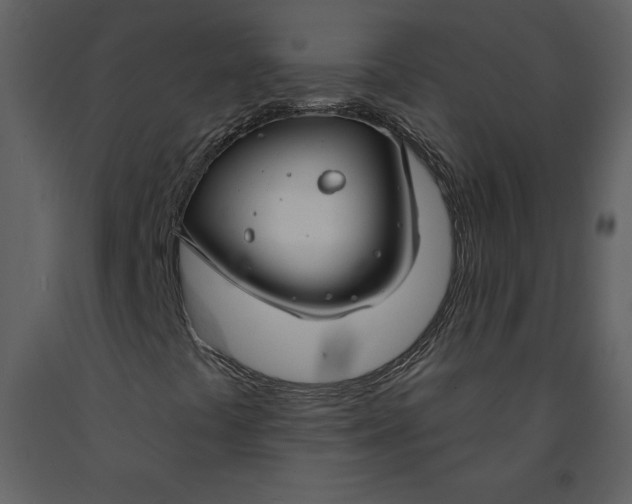 X0000090971441200708241304