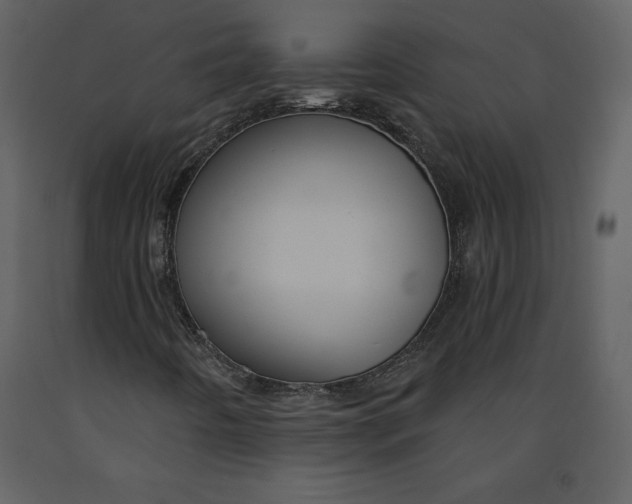 X0000090971442200708241304