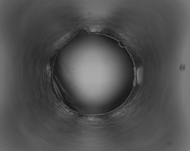 X0000090971443200708241304