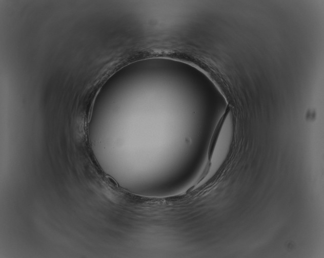 X0000090971444200708241304