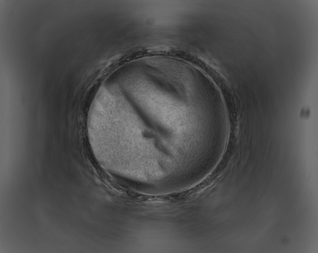 X0000090971445200708241304