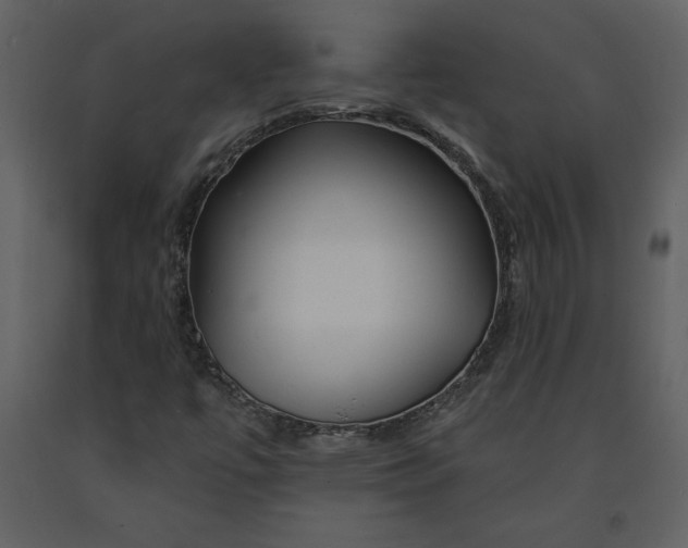 X0000090971447200708241304