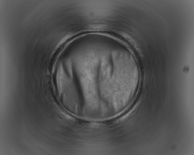 X0000090971449200708241304