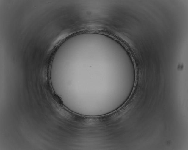 X0000090971451200708241304