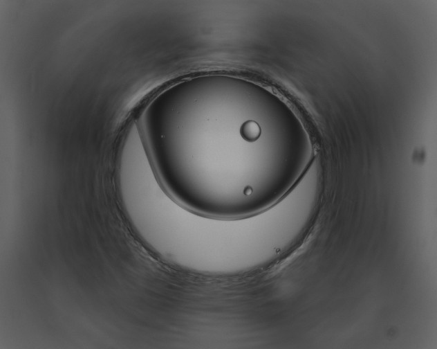 X0000090971453200708241304