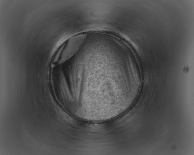 X0000090971459200708241304