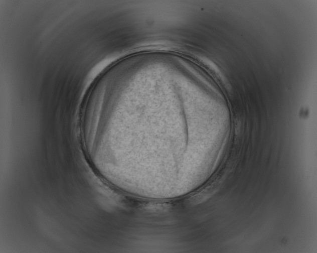 X0000090971466200708241304