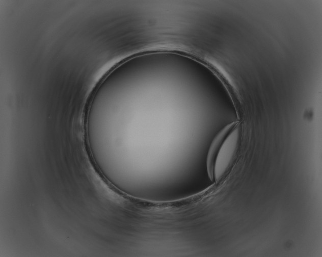 X0000090971468200708241304