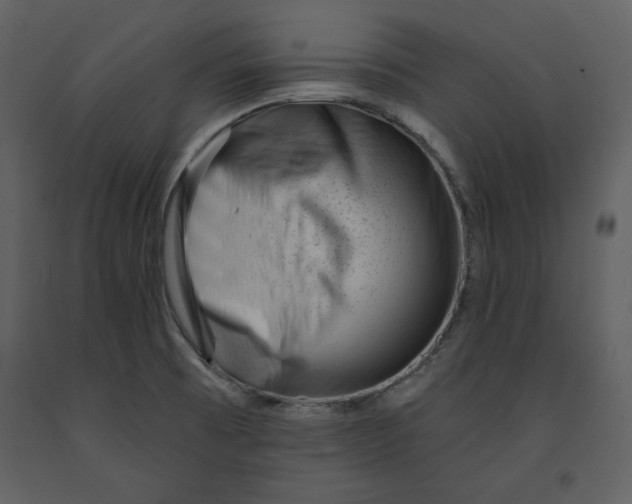 X0000090971473200708241304