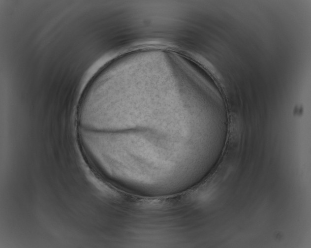 X0000090971474200708241304