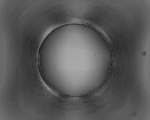 X0000090971479200708241304