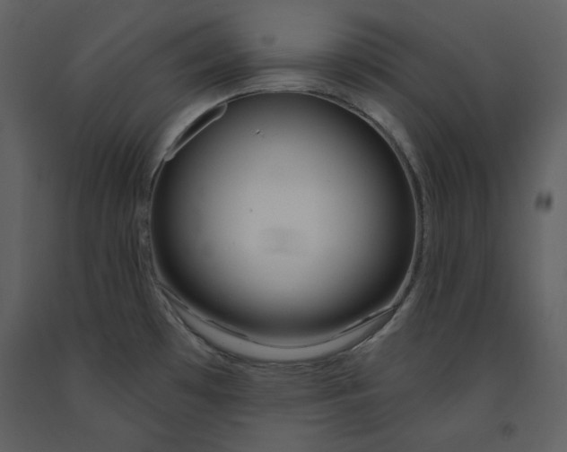 X0000090971481200708241304