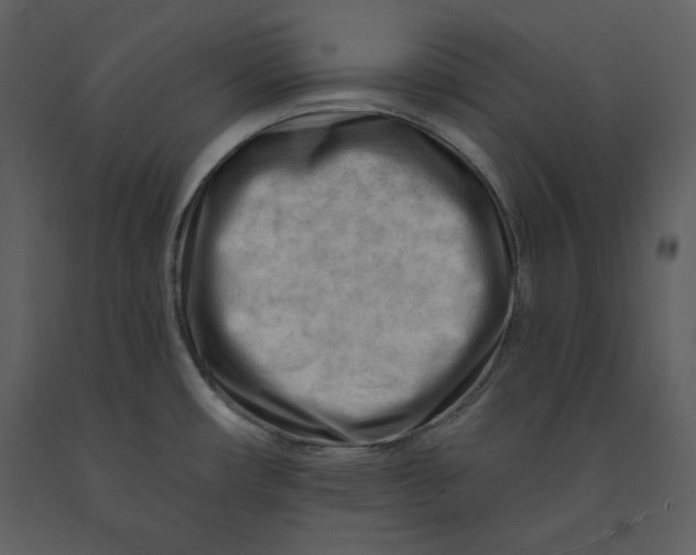 X0000090971482200708241304