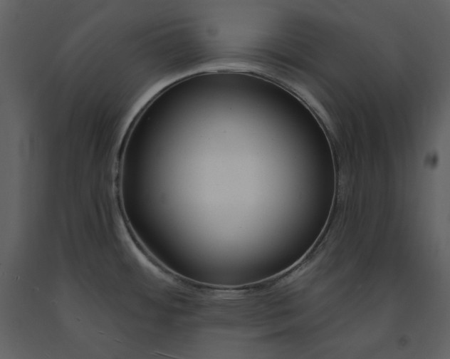 X0000090971484200708241304