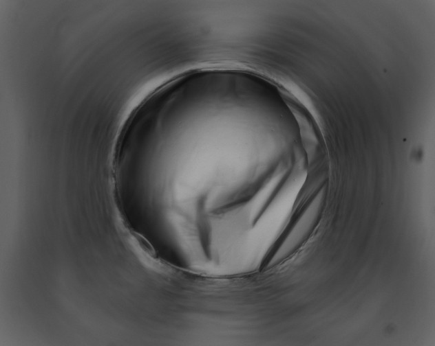 X0000090971485200708241304