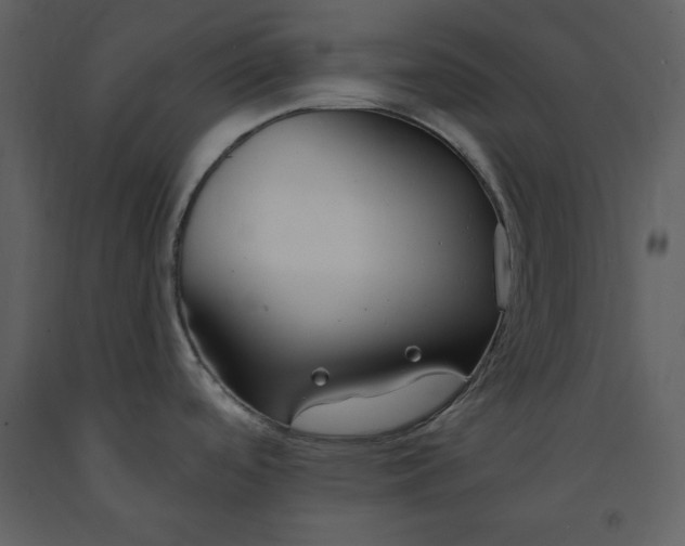 X0000090971488200708241304