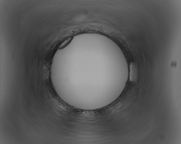 X0000090971491200708241303