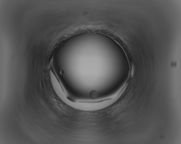 X0000090971492200708241303