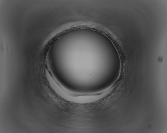 X0000090971496200708241303