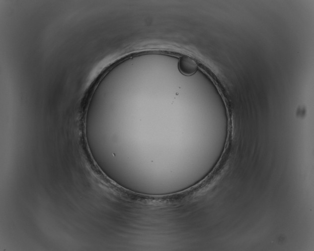 X0000090971501200708241303