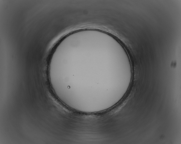 X0000090971502200708241303