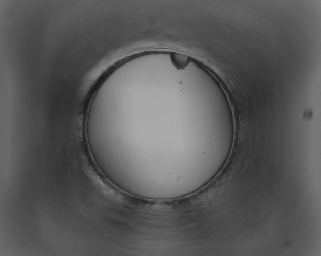 X0000090971503200708241303