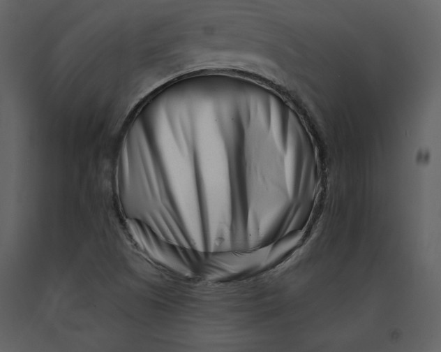 X0000090971505200708241303