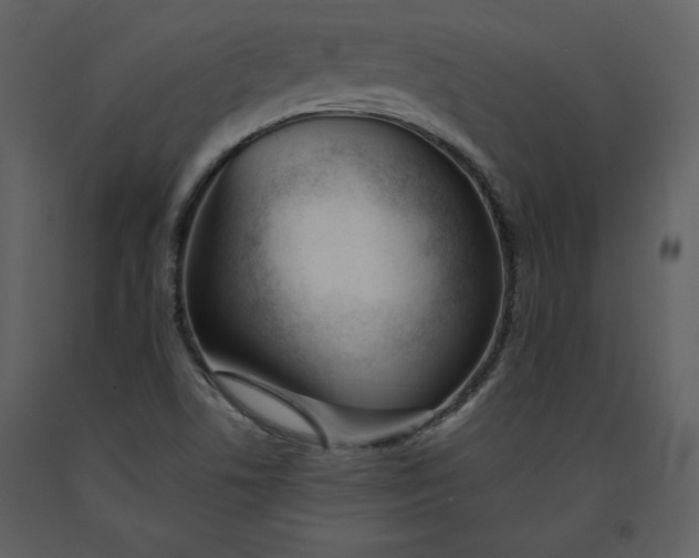 X0000090971506200708241303