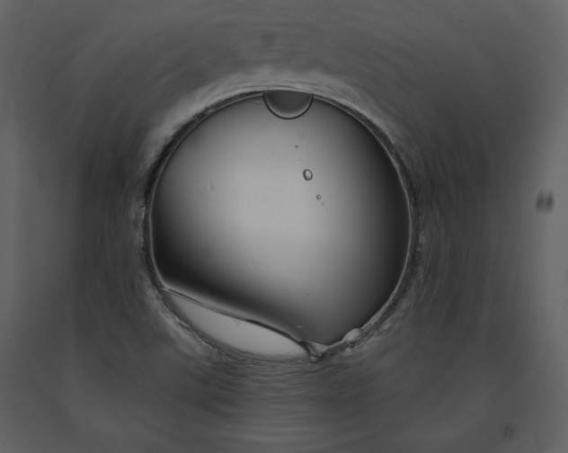 X0000090971507200708241303