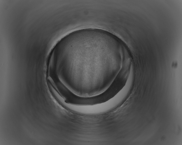 X0000090971508200708241303