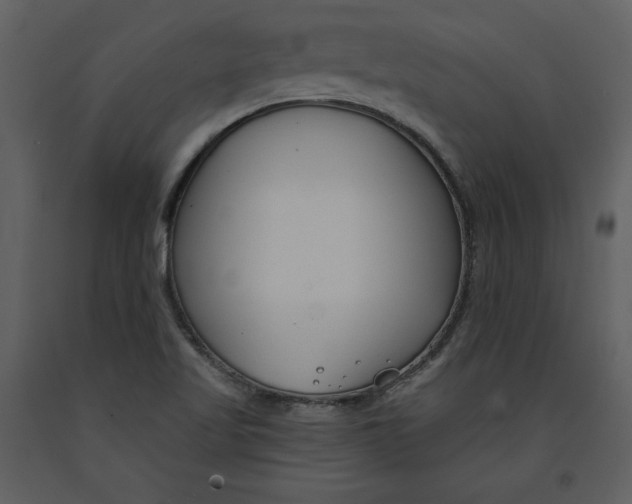 X0000090971509200708241303