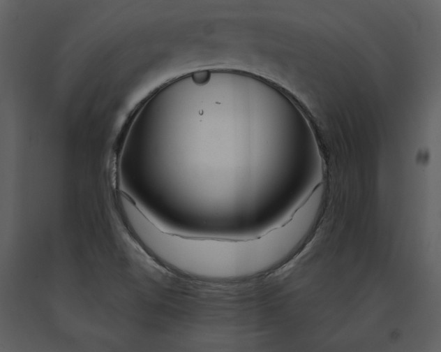 X0000090971510200708241303