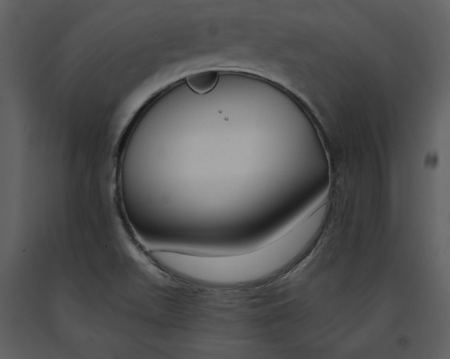 X0000090971511200708241303