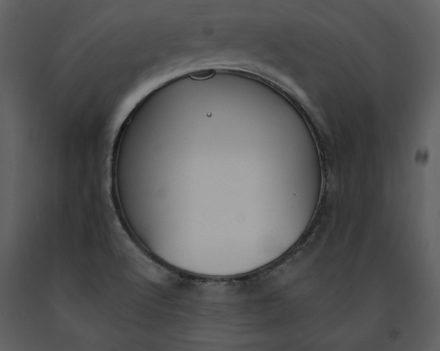 X0000090971512200708241303