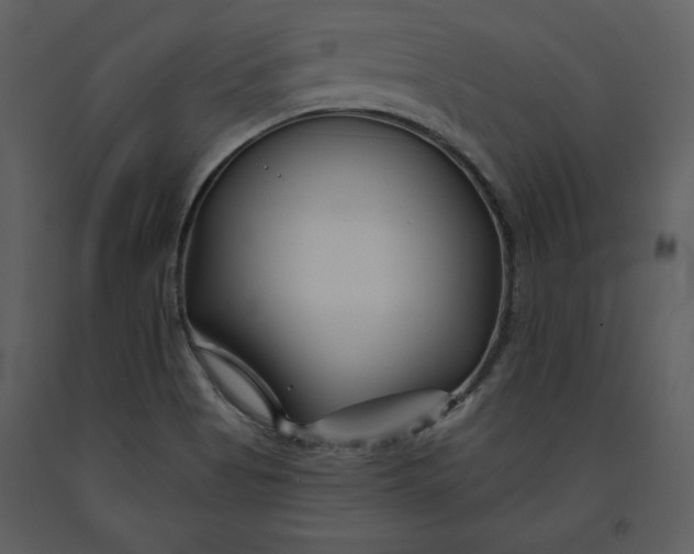 X0000090971513200708241303