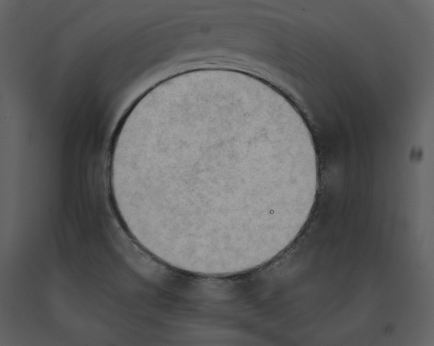 X0000090971514200708241303