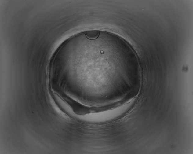 X0000090971515200708241303