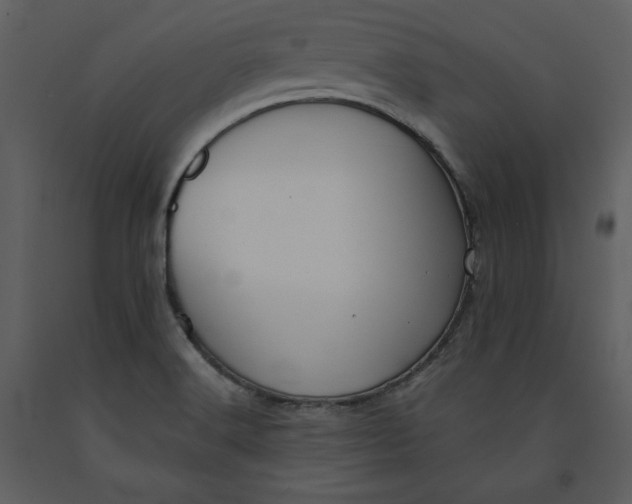 X0000090971516200708241303