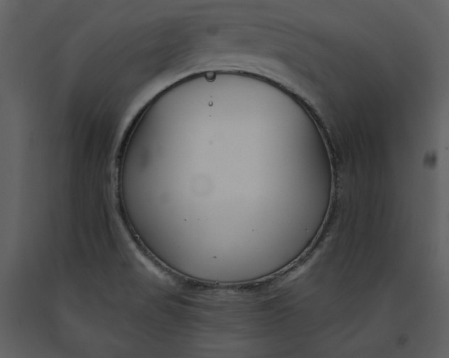 X0000090971517200708241303