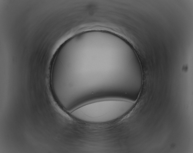 X0000090971518200708241303