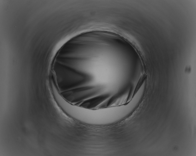 X0000090971520200708241303