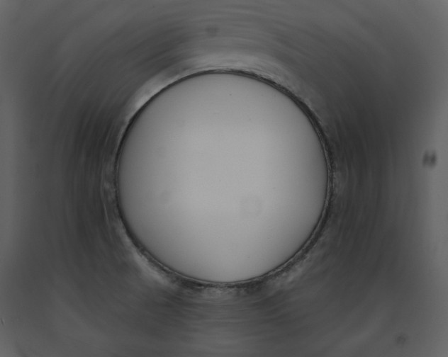 X0000090971521200708241303