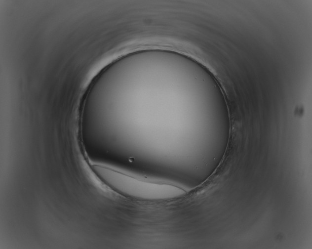 X0000090971523200708241303